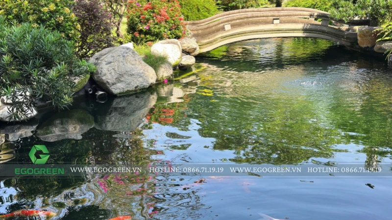 5 vị trí đắc địa nên đặt hồ cá, tiểu cảnh nước trong sân vườn